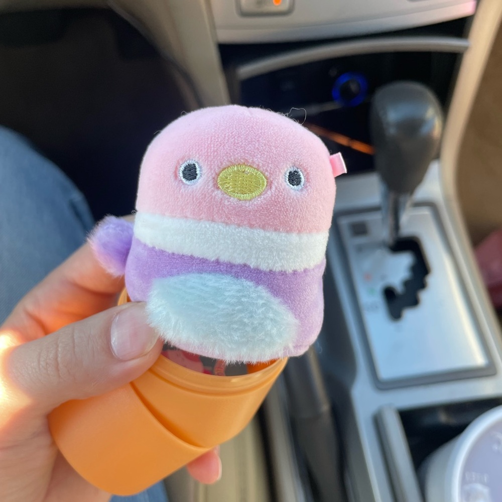 Lilibet squishmallow defect!